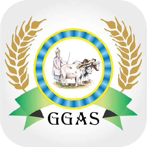 GreenGold Agri Seeds
