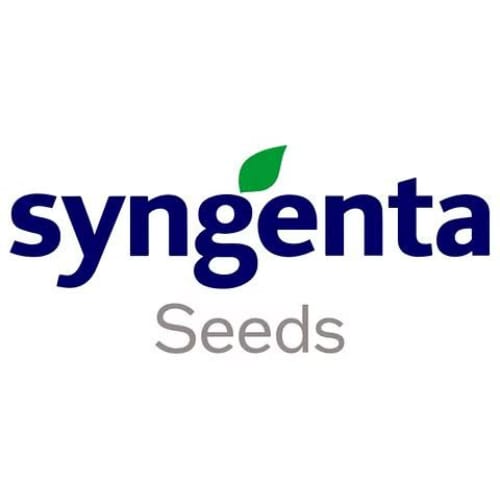 Syngenta Seeds
