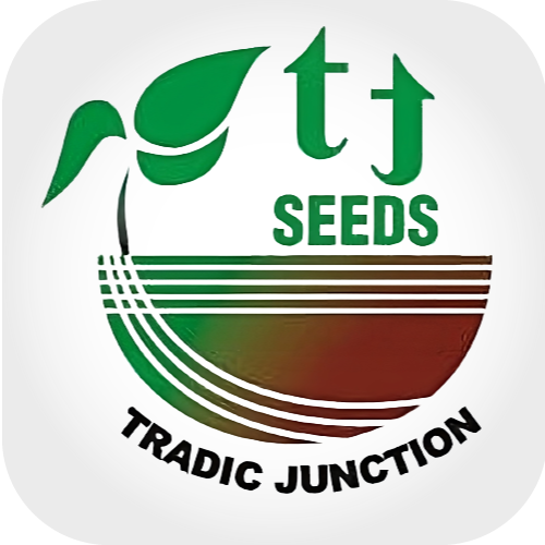 Tradic Junction