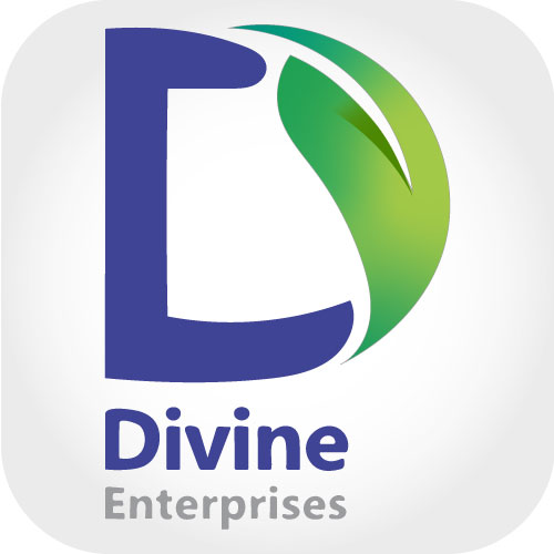 Divine Enterprises
