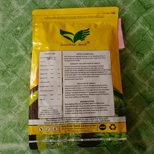 2nd Seasame White Till Ts-5 Amritsar Corporation Hybrid Seed 1kg - Amritsar Seed Corporation - Price in Pakistan Today (تل)
