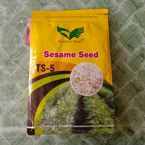 Seasame White Till Ts-5 Amritsar Corporation Hybrid Seed 1kg - Amritsar Seed Corporation - Price in Pakistan Today (تل)