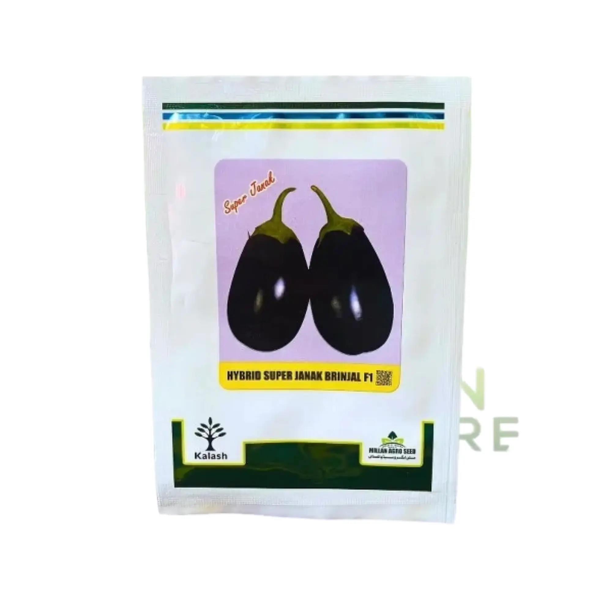 2nd Hybrid Super Janak F1 Brinjal Seeds 10g Pack– High Yield Hybrid Baingan (bengun) Seed Pakistan