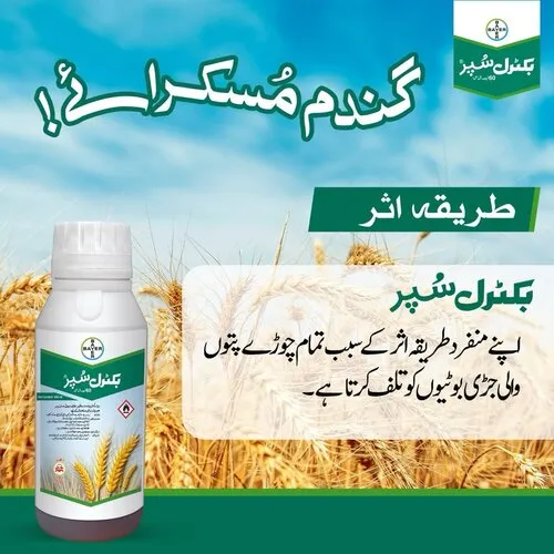 2nd Buctril Bromoxynil Octanoate + Heptanoate Ester Wheat Gandam Super 60EC Herbicide 300ml - BAYER - Price in Pakistan Today (گندم)