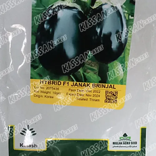 2nd Hybrid Brinjal Seed 10 Gram Vegetable Seeds Kalash Seeds Pvt 