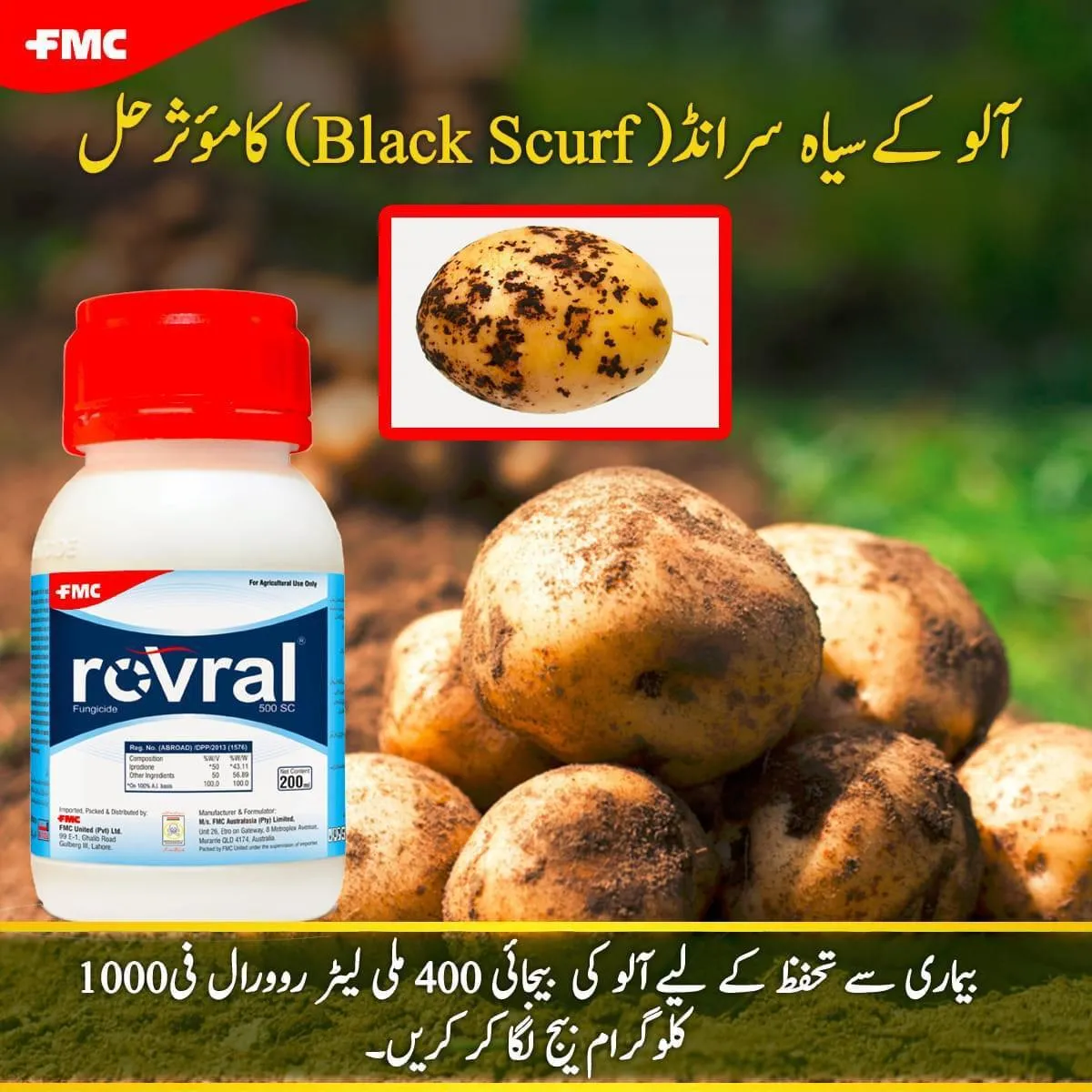 Rovral 500sc Iprodione 200ml Fmc Fungicide