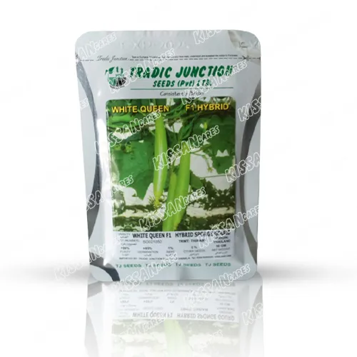 Sponge Gourd White Queen F1 Hybrid Vegetable Seed 50gram Tradic Junction