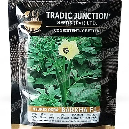 2nd Barkha F1 Okra 100 Gram Hybrid Vegetable Seeds Tradic Junction Seed Limited