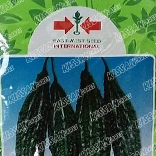 2nd Bitter Gourd Pasha 15 Vegetable Seeds Kerela F1 Hybrid Seed 50gm - Haji Sons - Price in Pakistan Today (کریلا)