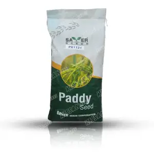Pk 1121 Kainat Paddy Super Hybrid Seed 10kg - Saver Enterprise - Price in Pakistan Today (بیج) - Seeds (Hybrid seeds Pakistan) Price in Pakistan Online | Kissan Cares