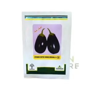 Janak Brinjal Seeds Pack Baingan (bengun) Pakistan F1 Hybrid Super Hybrid Seed 10g - Millan Agro Seed - Price in Pakistan Today (بیج) - Hybrid Seeds (Hybrid seeds Pakistan) Price in Pakistan Online | Kissan Cares - Back View