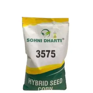 3575 Corn Sohni Dharti Best Corn For Silage Hybrid Seed 10kg - Sohni Dharti Seeds - Price in Pakistan Today (مکئی) - Hybrid Seeds (Hybrid seeds Pakistan) Price in Pakistan Online | Kissan Cares