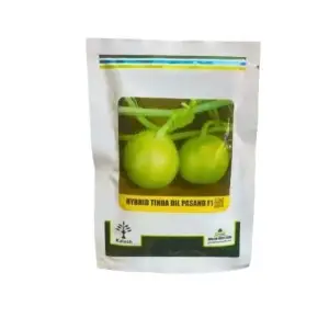 Dil Pasand Tinda Kalash Millan Agro | Tinda Beej Pakistan F1 Hybrid Round Hybrid Seed 50g - Kalash Seeds pvt. Limited - Price in Pakistan Today (ٹنڈا) - Hybrid Seeds (Hybrid seeds Pakistan) Price in Pakistan Online | Kissan Cares